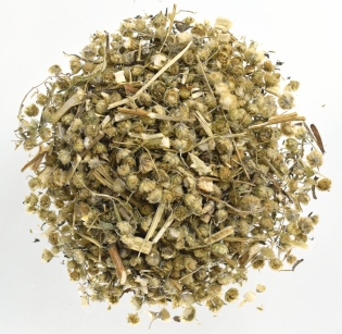 Полынь горькая